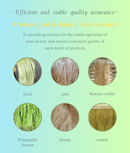 เครื่องสกัดเส้นใยจากก้านกล้วย - Product Image 3