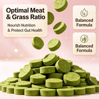 Biscuits lyophilisés à l'herbe pour chats OEM ODM – Friandises naturelles pour animaux de compagnie, aide contre les boules de poils et soutien de la santé intestinale, formule équilibrée pour l'entretien du pelage