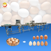 Máquina Clasificadora de Huevos ORME, Seleccionadora por Peso, Impresora, Clasificadora Automática de Huevos, Precio