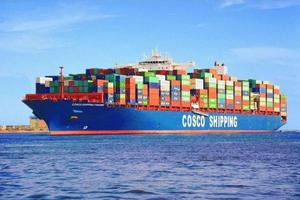 UPS DHL FBA Door-to-Door-Sea Flete Servicio de envío de China a Riyadh Dubai Marruecos Estados Unidos - Product Image 5