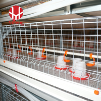 Cage d'élevage de poussins de type H commerciale, équipement avicole automatique avec 3, 4 ou 5 niveaux et gestion agricole simplifiée