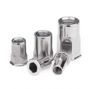 Baiguluo Stainless Steel Rivet Nuts M3 M4 M5 M6 M8 M10 M12 Flat Head Hexagonal With Washer DIN 304 Grade A Construction Industry - Product Image 1