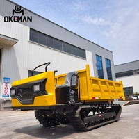 OKEMAN Mini 3-Tonnen-Diesel-Raupendumper mit Motor, Getriebe und Pumpe – Hocheffizient für die Logistik in der Landwirtschaft