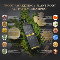 Shampoo pour la croissance des cheveux pour hommes, produits capillaires naturels sans paraben, logo personnalisé, traitement contre la chute des cheveux et la croissance des cheveux pour hommes