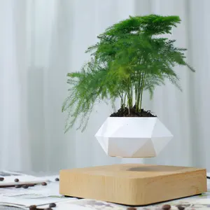HCNT Hot Selling Square Base Levitating Flower Pot Floating Plant for Home Decoration Personalized Gifts Christmas Gift