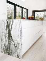 Élégance marbre vert exotique pierre naturelle polie design moderne pour la décoration intérieure application murale comptoirs avec fond blanc