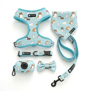 Kişiye Özel Köpek Tasması Seti Özel Tasarım Köpek Tasmaları ve Kayışları Özel Köpek Kayışı Üreticisi OEM ODM Fabrika Tedarikçisi - Product Image 2