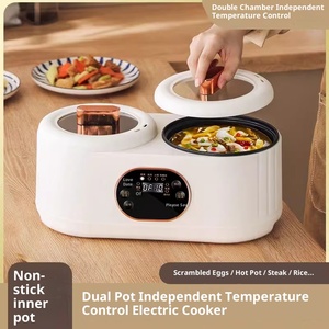 <span class=keywords><strong>Olla</strong></span> de arroz Electrodomésticos Presión y artículos de cocina Utensilios de cocina Bajo en azúcar Mini Multiusos Comercial inteligente - Product Image 3