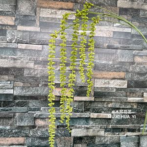 Mu Xi - Decoración de Pared Colgante con Cuentas Simuladas, Suculentas Artificiales, Rama Individual, Verde Amarillo - Product Image 4