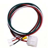 Harnais de câblage personnalisé à double connecteur avec câbles codés par couleur, prise de type Molex série PH pour la connexion des équipements électroniques