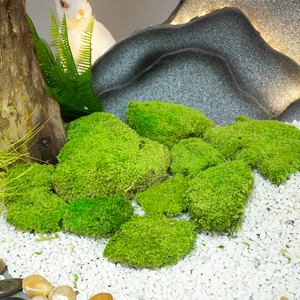 Cỏ rêu nhân tạo trong nhà cảnh quan cây cảnh đá cỏ dài giả rêu tường nhà máy Trang trí nền vi cảnh quan - Product Image 2
