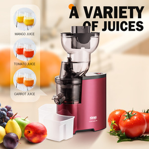 Extractor de Jugos Profesional Dsp Kj3070, 250w, Eléctrico, Multifuncional, con Cuchilla de Acero Inoxidable - Product Image 2