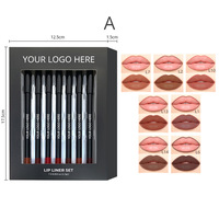 Vente en gros de crayon à lèvres, stylo rouge à lèvres velours mat, léger et facile à maquiller, kit de crayons à lèvres