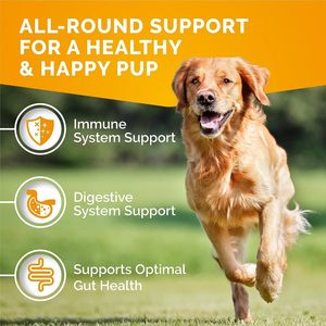 บรรเทาอาการแพ้ของสุนัขสำหรับอาการคัน<span class=keywords><strong>กัด</strong></span>ที่ผิวหนัง<span class=keywords><strong>กัด</strong></span>หูบรรเทาอาการแพ้ตามฤดูกา<span class=keywords><strong>ล</strong></span>-ส่วนผสมจากธรรมชาติภูมิคุ้มกันรองรับซอฟท์ชิวส์ - Product Image 4