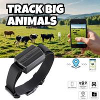 Traceur GPS multifonctionnel pour animaux de compagnie, collier pour animaux, grande capacité, design étanche, anti-perte, localisateur d'animaux, compatible Android