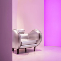 Sillón Individual de Madera Plateada de Diseño Creativo Moderno Estilo Cyberpunk Retro Italiano para Sala de Estar