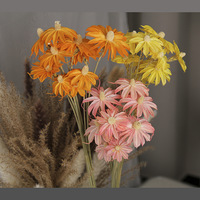 Vente en gros de véritables fleurs d'hibiscus naturelles, orchidées, fleurs de marguerites séchées pour le bricolage, matériaux de bouquet, décoration de la maison
