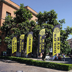 Tùy chỉnh hình chữ nhật bãi biển cờ Windproof quảng cáo bãi biển Giọt Nước Mắt lông cờ hai mặt bay khuyến mại Cờ & biểu ngữ - Product Image 4