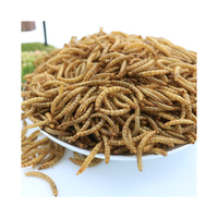 Vente en gros de vers de farine séchés Insectes comestibles Mouche sèche Aliments pour poissons Aliments pour oiseaux Ver de farine Aliments pour volaille