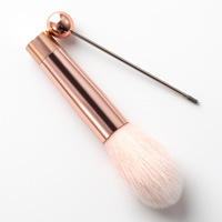 Ensemble professionnel de 5 pinceaux de maquillage cosmétique, manche en métal, style pinceau éventail pour l'application sur le visage, poils synthétiques pour le brillant à lèvres