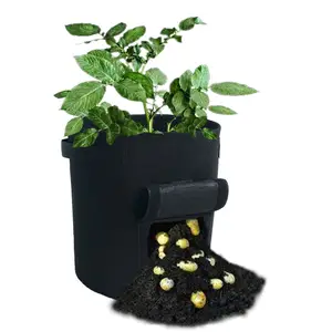 All Size Lifestyle Nonwoven Potato Planter Grow Bag Flower Nursery Production Cherry Planting Bags for Greenhouse