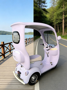 Triciclo Eléctrico de 3 Ruedas HengQiao (Homologado por DOT y EEC) Diseño Abierto de 2 Plazas, Autonomía de 50-70 km, Velocidad de 30-50 km/h, Capacidad de Subida de 25 Grados para Zonas Lacustres - Product Image 1
