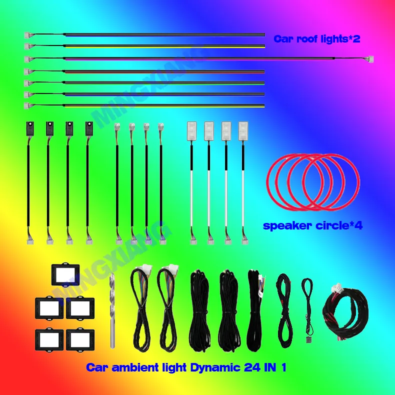 Acryl Omgevingslicht Symfonie Achtervolgt 24 In 1 Glasvezellicht Voor Auto-Sfeer Interieurverlichting