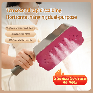 2024 <span class=keywords><strong>ferro</strong></span> da stiro elettrico intelligente portatile portatile più popolare - Product Image 2