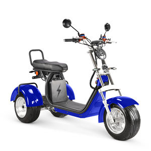 Tricycle Scooter Électrique 2026 4000W à Double Moteur, Pneus Larges, Citycoco, Batterie Amovible, Moto à 3 Roues - Product Image 3