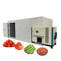 Elektrische fruit- en groentedroger voor kleine bedrijven, eenvoudige machines voor het drogen van okra, wortel en tomaat