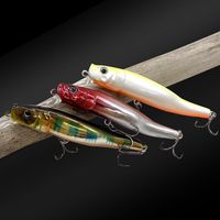 Leurre de pêche OEM/ODM d'usine, Minnow coulant, Jerkbait, Leurres durs, Wobbler, Crankbait pour bar, Leurre pour truite, Leurre à bouche inclinée