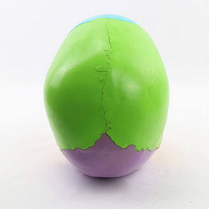 Modèle de crâne anatomique <span class=keywords><strong>humain</strong></span> grandeur nature en 22 pièces, couleur CE/ISO, tête amovible, modèle d'os de crâne pour étudiants en médecine - Product Image 4