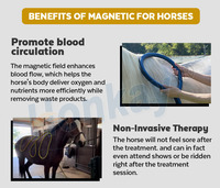 Appareil de thérapie PEMF pour chevaux pour améliorer la vitalité, augmenter la flexibilité et la mobilité des articulations et calmer l'humeur