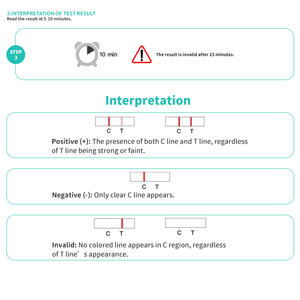 세이버벳 고양이 대변 잠혈 신속 검사 키트 (애완동물 FOB 가정용 신속 수의학 검사 키트) - Product Image 4