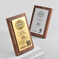 Trophée 3D en bois massif de noyer, plaque de récompense sculptée sur mesure pour la reconnaissance des rencontres annuelles d'entreprise