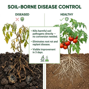 Agente Microbiano Probiótico de <span class=keywords><strong>Biocontrol</strong></span>, Fertilizante Orgánico, Diatomeas, Algas, Ácido Húmico Líquido, Aminoácidos, 100% Pureza, Acción Rápida - Product Image 6