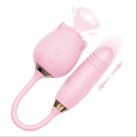 Vibrateur Rose Portable à Succion et Pénétration, Godemiché pour Masturbation Féminine, Stimulateur Clitoridien en Silicone, Jouet Sexuel pour Femme Point G, Rechargeable USB