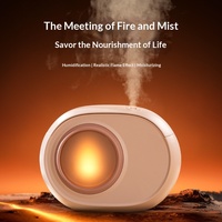 Nouvel humidificateur transfrontalier rechargeable à double pulvérisation, effet flamme dynamique, alimenté par USB, type brume, capacité 0,5L, pour la maison