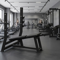Équipement de musculation professionnel : Banc de musculation réglable multi-positions pour pectoraux et bras, à charge libre, inclinable