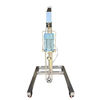 L'acier inoxydable de catégorie sanitaire de prix usine émulsionnent la machine de mélange d'émulsion de cisaillement élevé d'ascenseur hydraulique