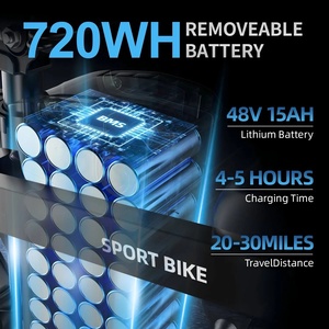 Baterías de Litio para Bicicletas Eléctricas Nuevas a Precio de Fábrica, Plegables de 14 Pulgadas para Adultos EB-14Z6, Logotipo Personalizado EB-1 - Product Image 5