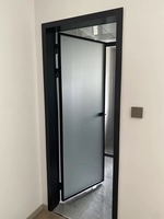 Porte de salle de bain minimaliste standard à charnières avec cadre en alliage titane-magnésium et panneaux en verre dépoli pour toilettes intérieures d'hôtel