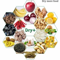 Industriële Grote Productiecapaciteit Tunnel Magnetron Dehydrator Machine Voor Graan Insect Of Fruit