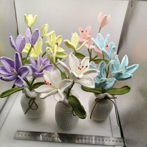 Décor <span class=keywords><strong>de</strong></span> tableau <span class=keywords><strong>de</strong></span> bord <span class=keywords><strong>de</strong></span> voiture fait à la main <span class=keywords><strong>bricolage</strong></span> tricoté plante en <span class=keywords><strong>pot</strong></span> Crochet <span class=keywords><strong>Pot</strong></span> <span class=keywords><strong>de</strong></span> <span class=keywords><strong>fleur</strong></span> pour bureau bureau cadeau <span class=keywords><strong>de</strong></span> fête des enseignants - Product Image 4