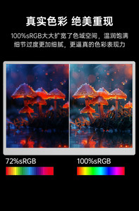 หน้าจอพกพาขนาด 10.5 นิ้ว ความละเอียด 1920x1280 เกรด A แบบ IPS USB HD ความสว่างสูง พร้อมลำโพงในตัว สำหรับแล็ปท็อปและ Switch - Product Image 5