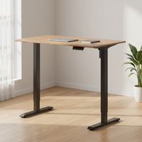 Bureau de travail réglable en hauteur, moderne, simple, ergonomique, électrique, pour ordinateur, avec possibilité de personnalisation
