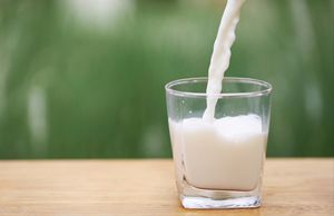 Fragranza solubile nel latte materno batteri vivi | Strumento di risparmio sui costi di livello industriale | Alternativa al processo di fermentazione - Product Image 4