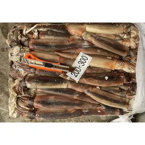 Frozen Illex Argentina Squid All Size Giant Squid Frozen Frozen Squid Whole