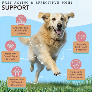 Suplemento Masticable <span class=keywords><strong>de</strong></span> Colágeno Multi-Beneficios <span class=keywords><strong>para</strong></span> la Salud <span class=keywords><strong>de</strong></span> las Mascotas, con Péptidos, Aceite <span class=keywords><strong>de</strong></span> Hígado <span class=keywords><strong>de</strong></span> Bacalao y Cartílago, <span class=keywords><strong>para</strong></span> la Cadera y las Articulaciones <span class=keywords><strong>de</strong></span> Perros - Product Image 5