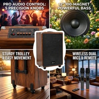 Enceinte Karaoké Bluetooth Prix Promotionnel, Enceinte d'extérieur avec deux micros sans fil, Design en bois, pour la danse en extérieur, le chant de rue, le camping et les événements promotionnels